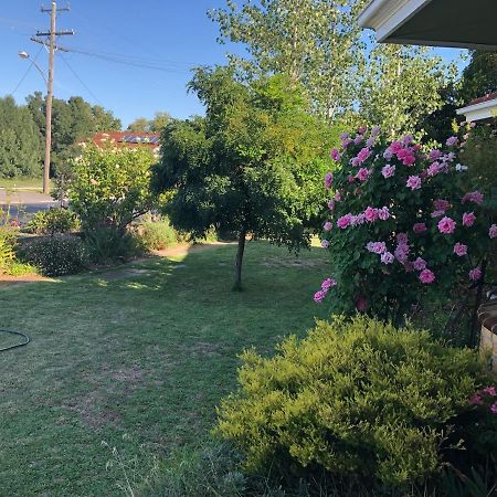 Pleasant View Villa Horsham Bagian luar foto